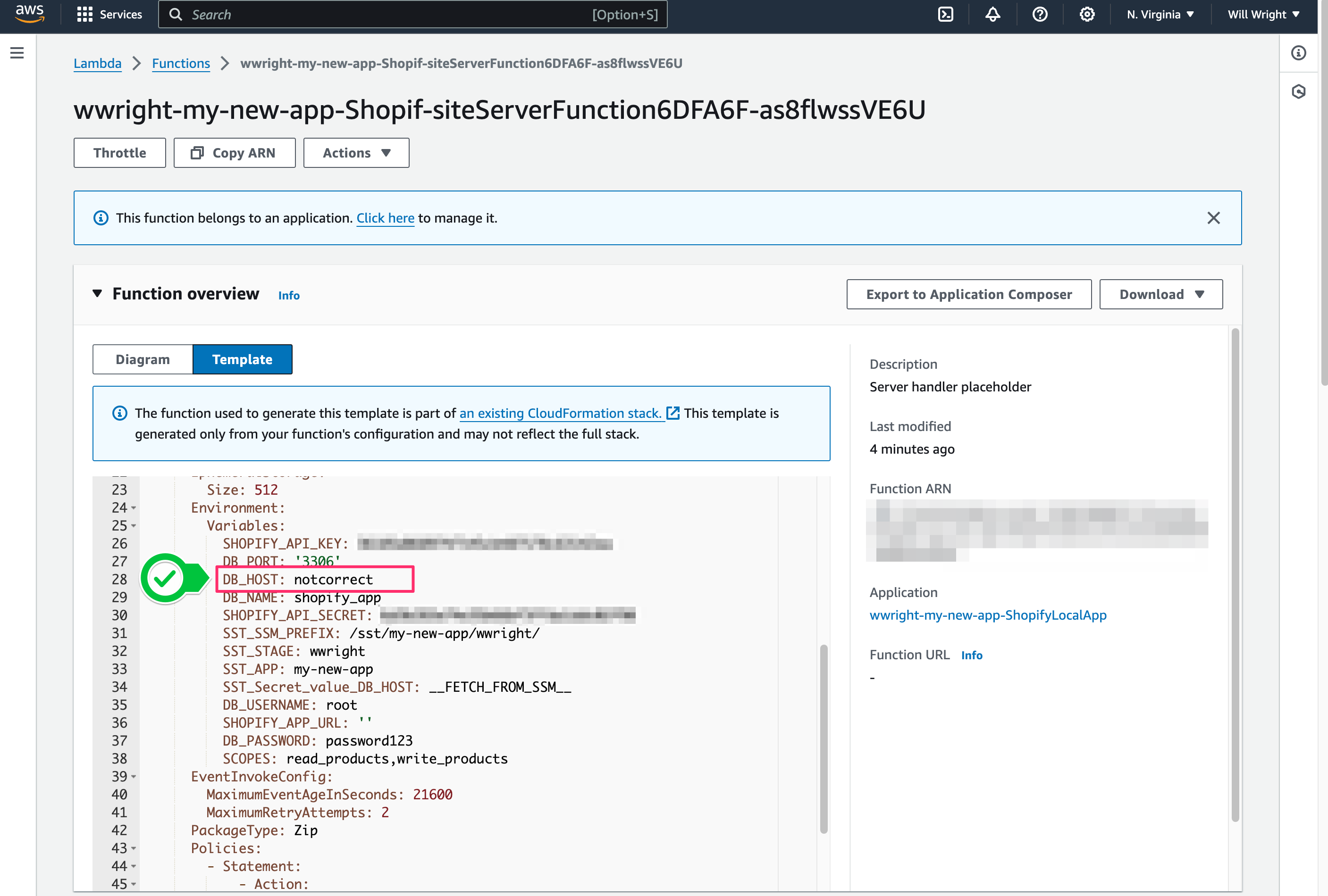 Verify env variables in AWS